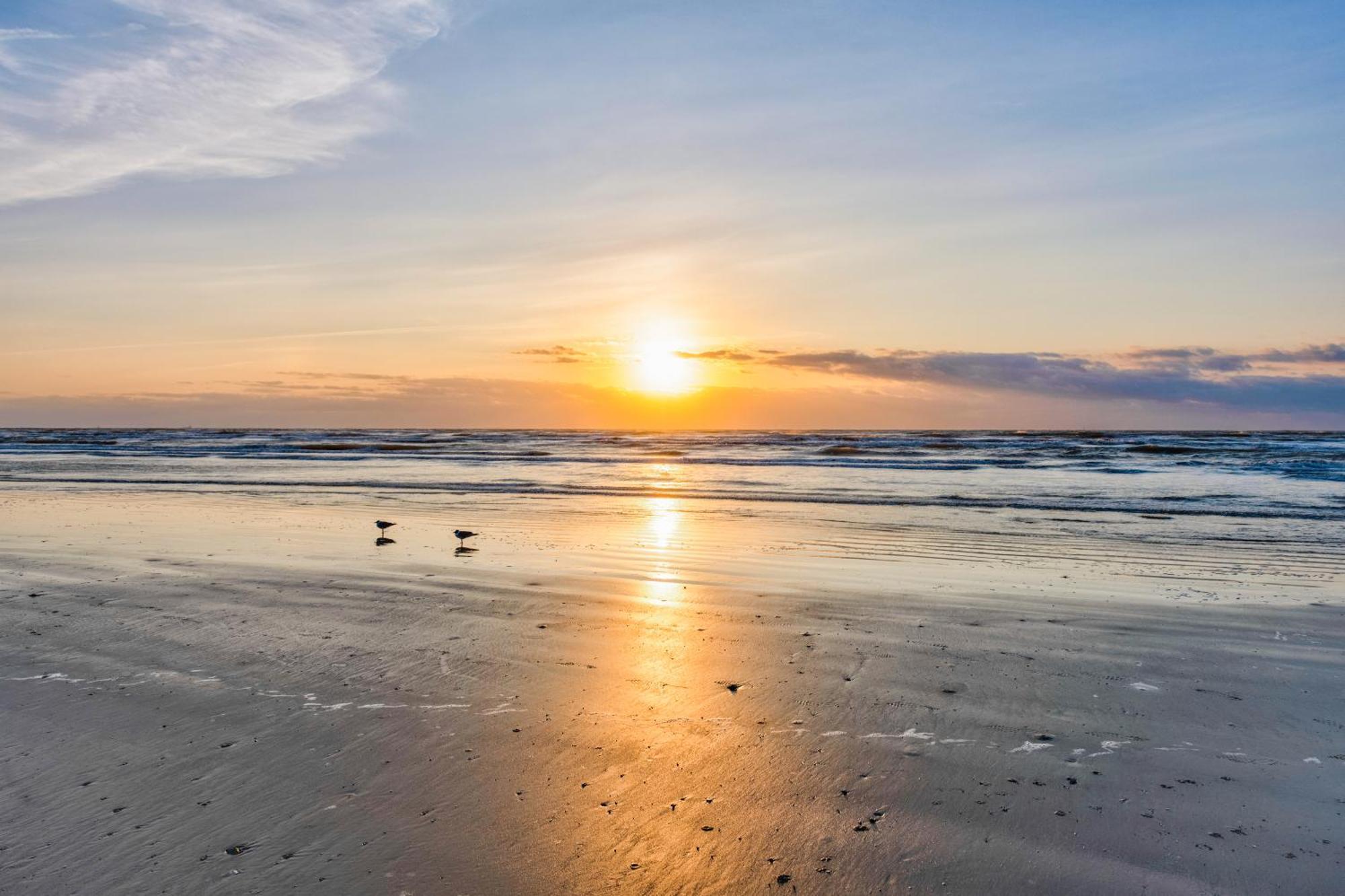Beachtastic 502Bh Port Aransas Zewnętrze zdjęcie
